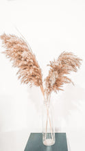 Load image into Gallery viewer, Natural dried pampas grass stem- raw.