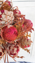 Load image into Gallery viewer, Australian dried banksia- watermelon colour.