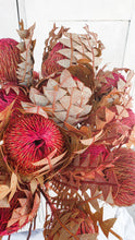Load image into Gallery viewer, Australian dried banksia- watermelon colour.