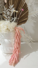 Load image into Gallery viewer, Everlasting dried floral arrangement in a pot.