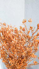Load image into Gallery viewer, Australian dried daisies- peach colour