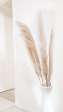 Load image into Gallery viewer, Skinny tall pampas 1M - 1.2 M