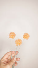 Load image into Gallery viewer, Scabiosa preserved flower stem- Pink/ Peach.