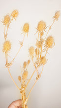 Load image into Gallery viewer, Large sea holly stem- peach