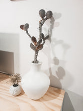 Load image into Gallery viewer, Wooden peach branch hakea platysperma