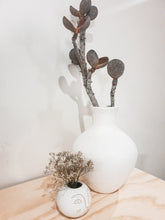 Load image into Gallery viewer, Wooden peach branch hakea platysperma