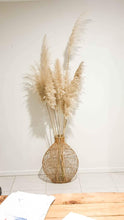 Load image into Gallery viewer, Fluffy pampas grass Brisbane