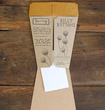 Load image into Gallery viewer, BILLY BUTTON GIFT OF SEEDS