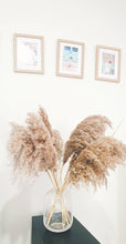 Load image into Gallery viewer, Natural dried pampas grass stem- raw.