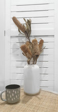 Load image into Gallery viewer, Australian native banksia bud stems.