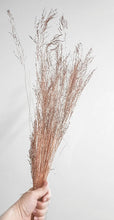Load image into Gallery viewer, Love grass stem- rose