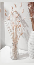 Load image into Gallery viewer, Bunny tail stem- soft pink (pre order)