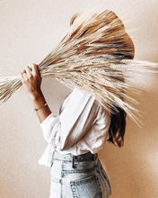 Load image into Gallery viewer, Dried wheat natural stem.