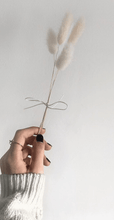 Load image into Gallery viewer, Bunny tail stem- white