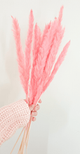 Load image into Gallery viewer, Natural pampas grass stem thin- pink