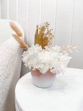Load image into Gallery viewer, Pink and white sunset mini potted florals-Evening sun,