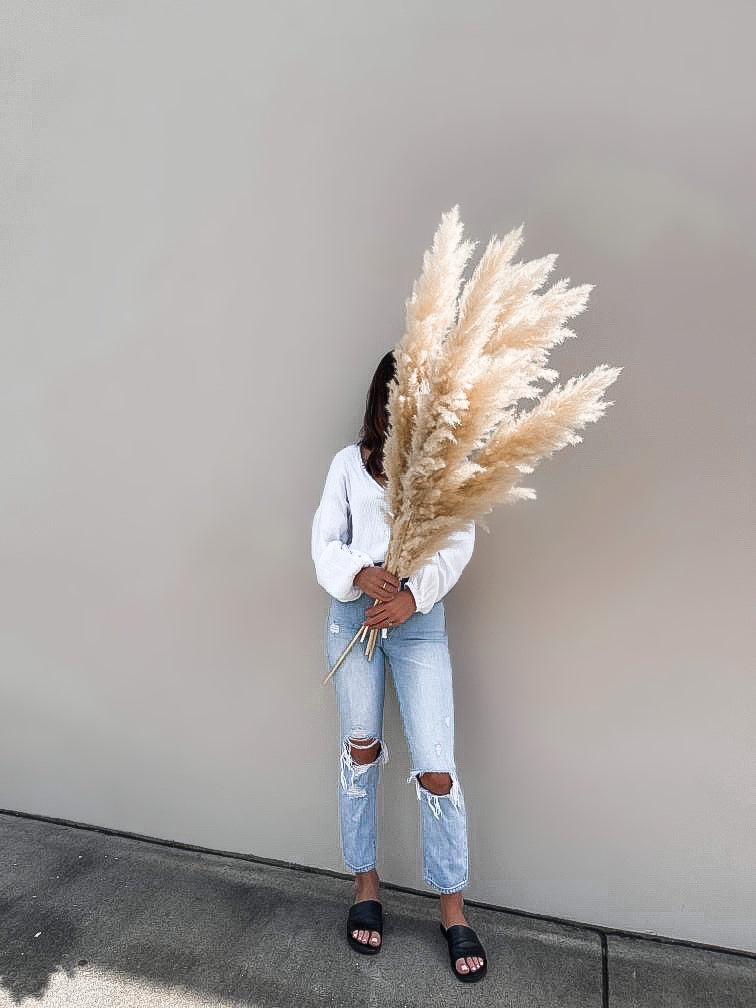 Tall fluffy dried pampas grass for home, events and weddings. Cream coloured pampas stems delivered to Sydney, Melbourrne, Gold Coast, Brisbane, and Logan areas. Perfect to add to your home decor