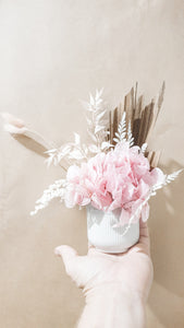 Mini potted floral arrangement -Darling mini pot