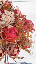 Load image into Gallery viewer, Australian dried banksia- watermelon colour.

