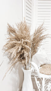 Tall raw pampas grass 1M - Jillian