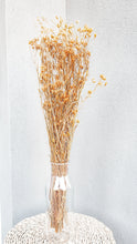 Load image into Gallery viewer, Australian dried daisies- peach colour
