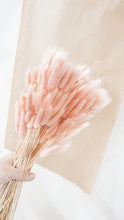 Load image into Gallery viewer, Bunny tail stem- soft pink (pre order)
