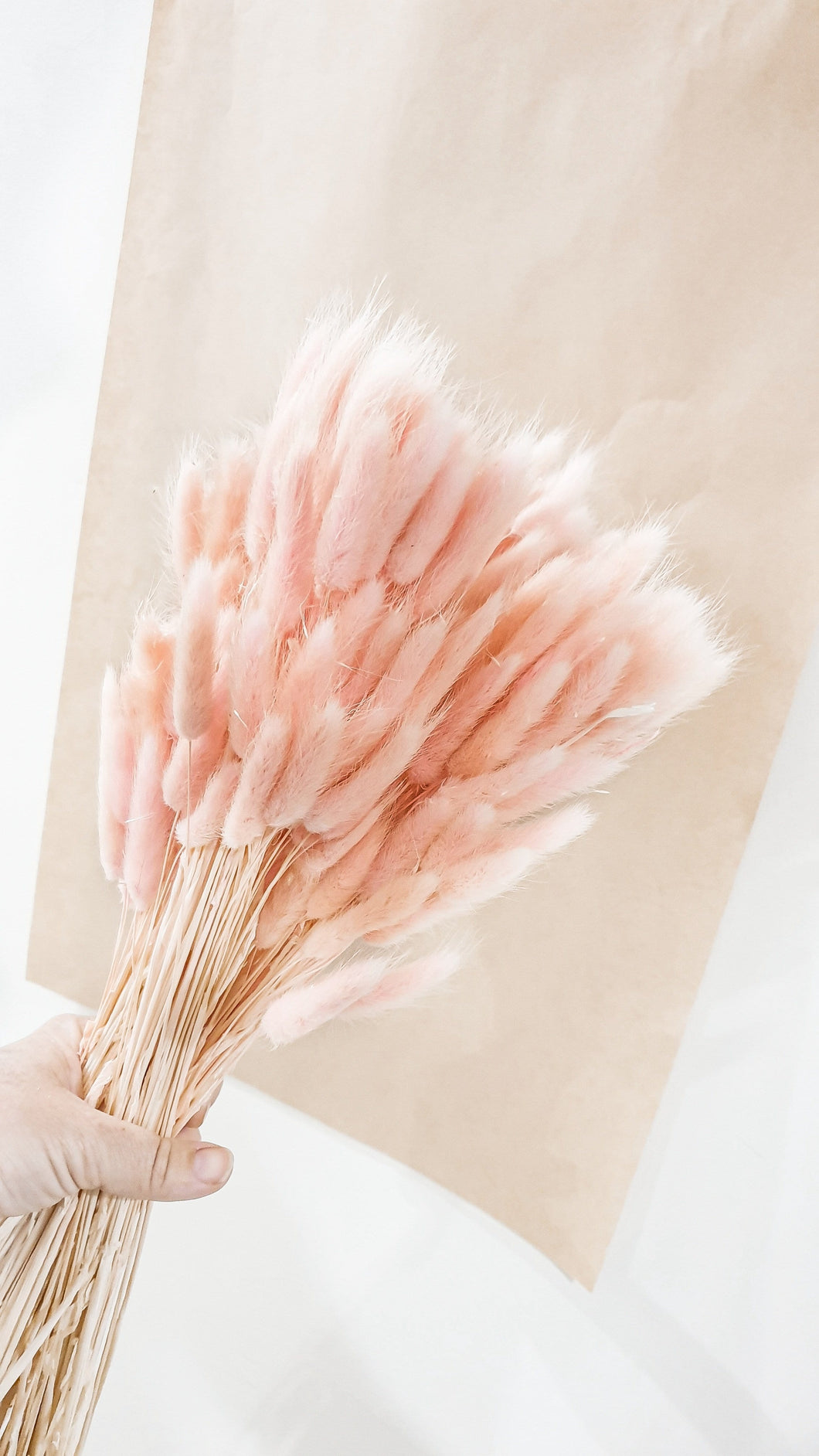 Bunny tail stem- soft pink (pre order)