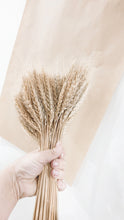 Load image into Gallery viewer, Dried wheat natural stem.
