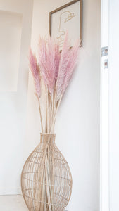 Pampas- pink 1.6M