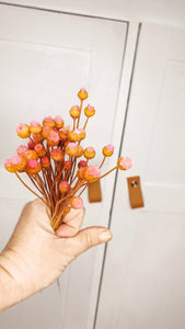 Happy flower stem, dried- pink stem