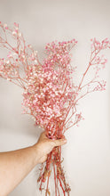 Load image into Gallery viewer, Preserved baby breath stem- preserved pink stem.
