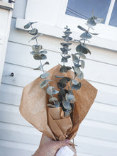 Load image into Gallery viewer, Natural preserved Australian gum leaf- set of 3.
