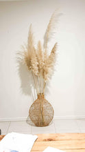 Load image into Gallery viewer, Fluffy pampas grass Brisbane
