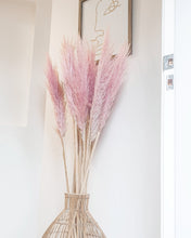 Load image into Gallery viewer, Pampas- pink 1.6M
