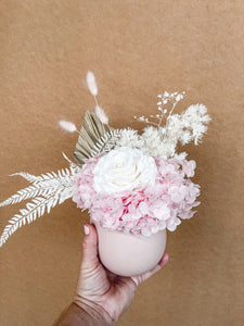 Middi potted floral arrangement- white and pink