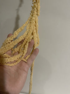 Hanging amaranthus stem.